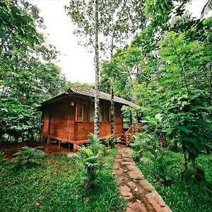 Bamboo Creek 2*, Vaduvanchal India